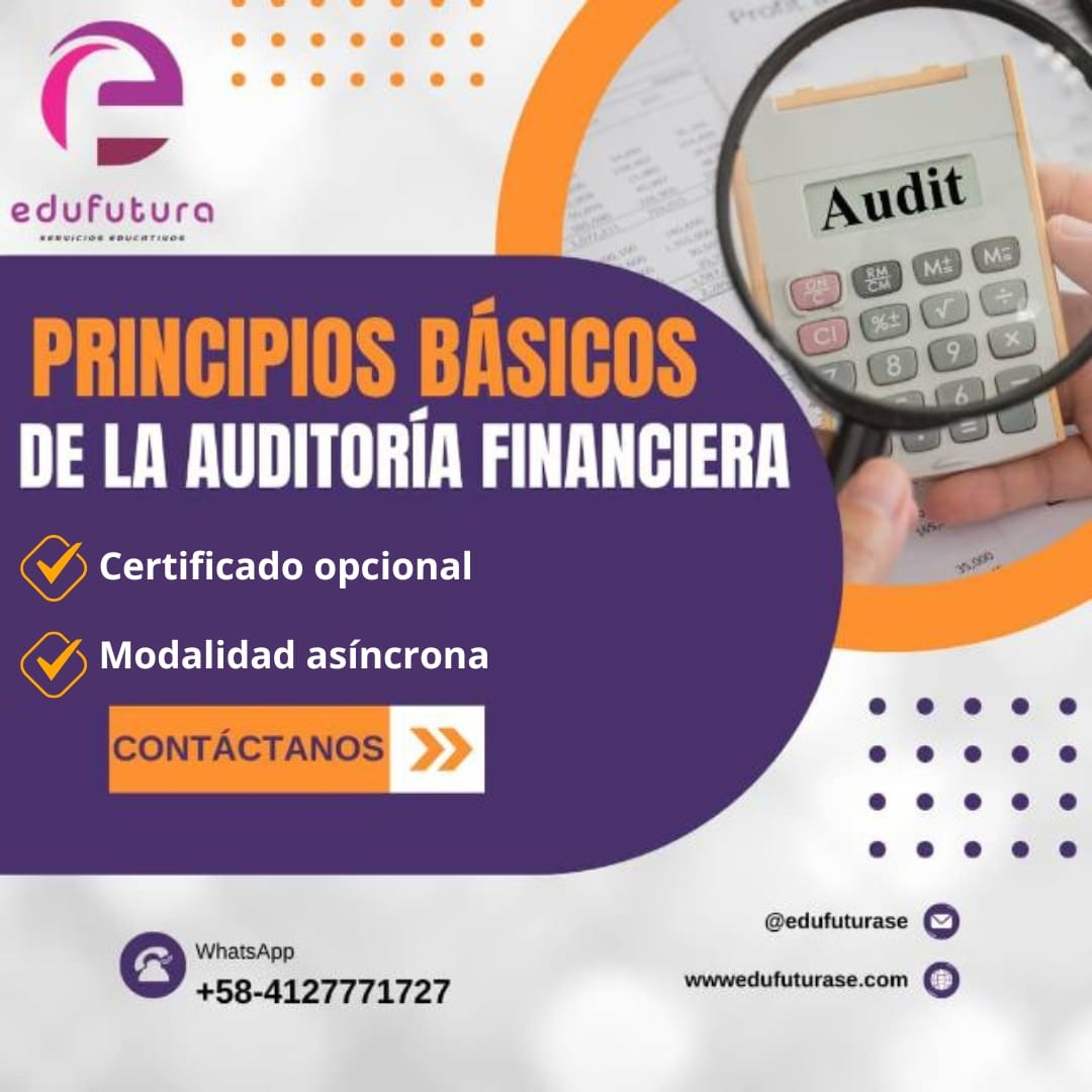 Principios Básicos de la AuditoríÂ­a Financiera